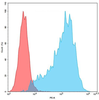 CCR8 Biosimilar Antibody