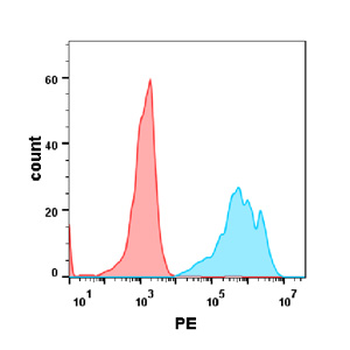Anti-CD19 (inebilizumab biosimilar)mAb