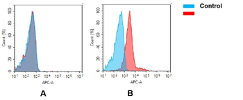 Biotinylated Anti-GPRC5D antibody(DM91); Rabbit mAb