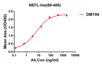Anti-NEFL(89-400) antibody(DM199); Rabbit mAb