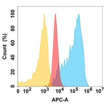 ADAM9 Antibody