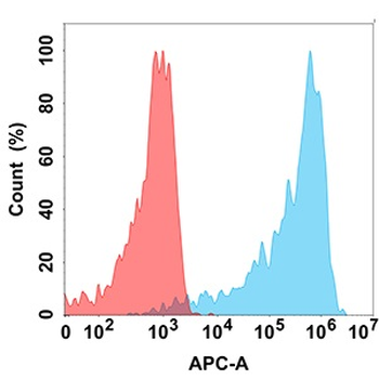 Anti-AMHR2 antibody(DM186); Rabbit mAb