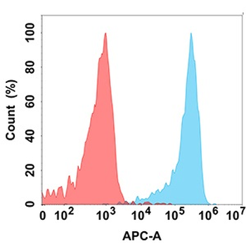 Anti-KLRG1 antibody(DM184); Rabbit mAb