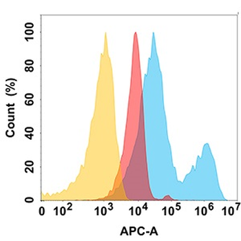 Anti-ROR2 antibody(DM174), Rabbit mAb
