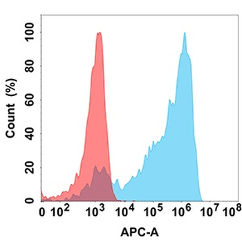 AXL Antibody