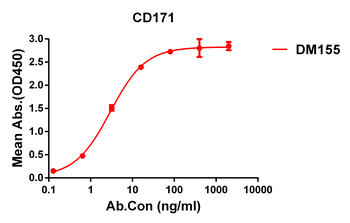 Anti-CD171 antibody(DM155); Rabbit mAb