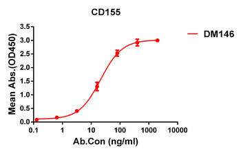 Anti-CD155 antibody(DM146); Rabbit mAb