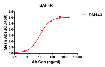 Anti-BAFF-R antibody(DM143); Rabbit mAb