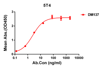 5T4 Antibody