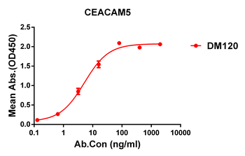 Anti-CEACAM5 antibody(DM120); Rabbit mAb