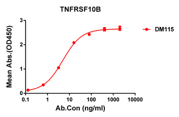 Anti-TNFRSF10B antibody(DM115); Rabbit mAb