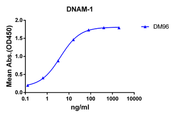 Anti-DNAM-1 antibody(DM96); Rabbit mAb