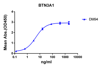 Anti-BTN3A1 antibody(DM94); Rabbit mAb
