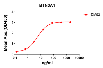 Anti-BTN3A1 antibody(DM93); Rabbit mAb