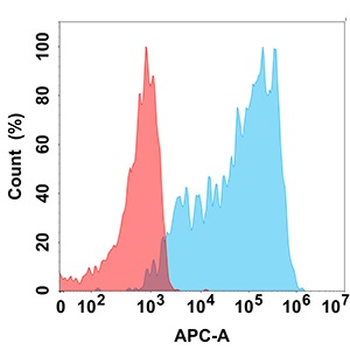 Anti-CXCR3 antibody(DM208); Rabbit mAb