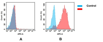 CEACAM6 Biosimilar Antibody