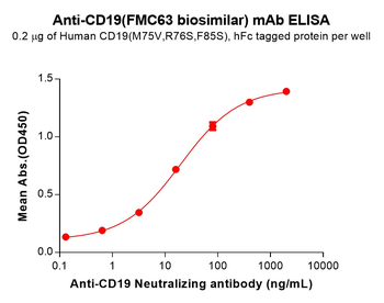 CD19 Biosimilar Antibody