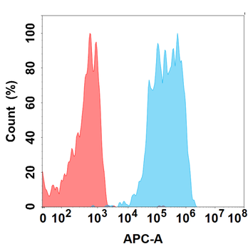 CD96 Antibody