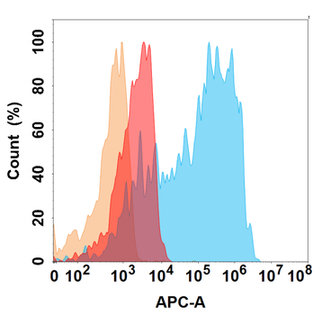 Anti-CD21 antibody(DMC280); IgG1 Chimeric mAb