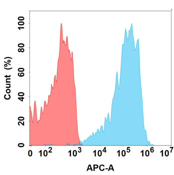 TNFSF11 Antibody