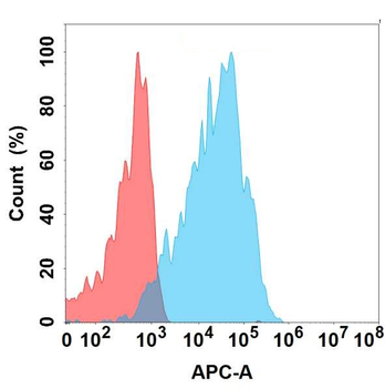 GPR75 Antibody
