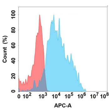 EDA Antibody