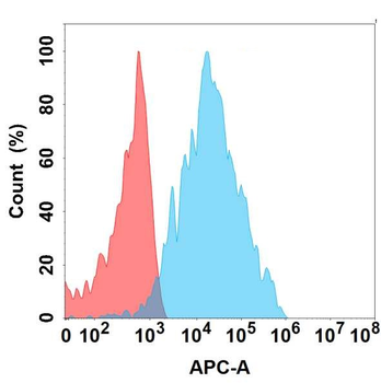 Anti-B4GALT1 antibody(DMC392); IgG1 Chimeric mAb