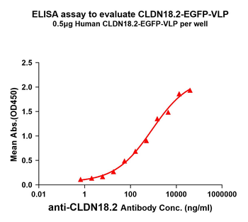 Fluorescent Human CLDN18.2 Full Length Protein-VLP (EGFP)