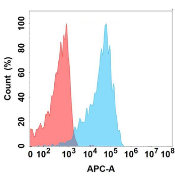 LILRB2 Antibody