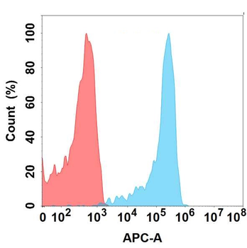 CD23 Antibody