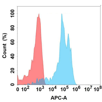 Anti-DDR1 antibody(DMC480); IgG1 Chimeric mAb