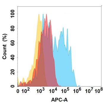 Anti-CCR6 antibody(DMC477); IgG1 Chimeric mAb