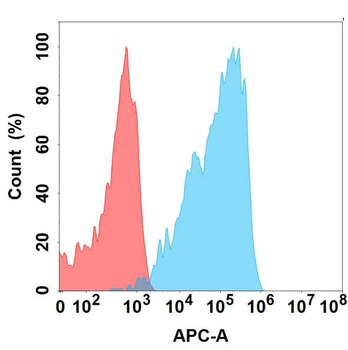 TGFBR2 Antibody