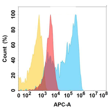 CSPG4 Antibody