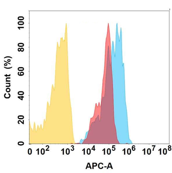 Anti-CCR1 antibody(DMC465); IgG1 Chimeric mAb