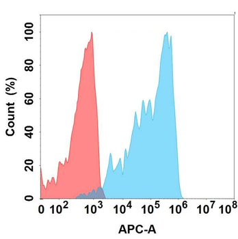FGFR4 Antibody