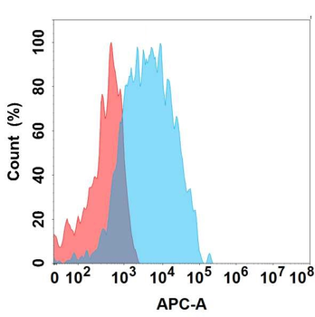 Anti-CCR2 antibody(DMC447); IgG1 Chimeric mAb