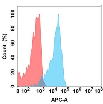SLAMF1 Antibody