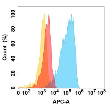 Anti-CHODL antibody(DMC442); IgG1 Chimeric mAb