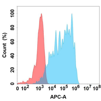 Anti-CD83 antibody(DMC436); IgG1 Chimeric mAb