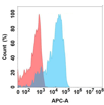 GP6 Antibody