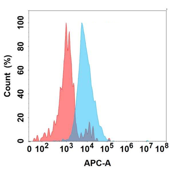 IGFBP7 Antibody