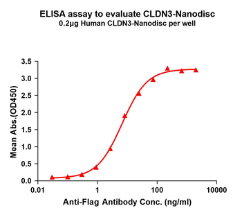 Human CLDN3 full length protein-synthetic nanodisc