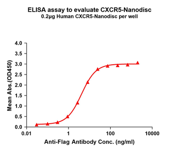 Human CXCR5 full length protein-synthetic nanodisc