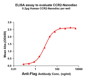 Human CCR2 full length protein-synthetic nanodisc