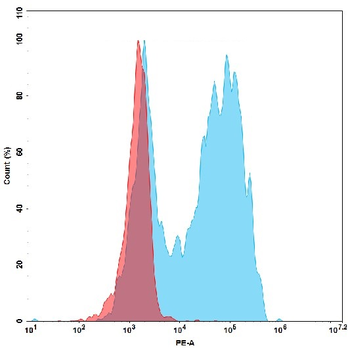 Human BACE1 Protein, His Tag