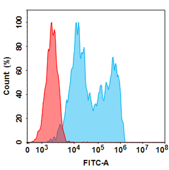 Anti-CD20 (obinutuzumab biosimilar) mAb