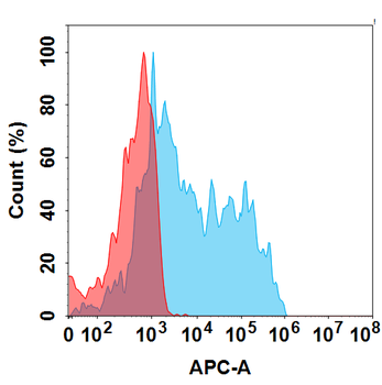 GPNMB Biosimilar Antibody