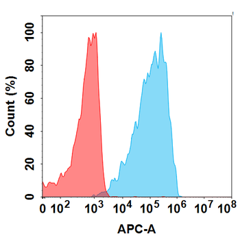 Anti-GPRC5D(LM305 biosimilar) mAb