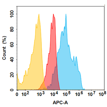 Anti-IGF-1R(teprotumumab biosimilar) mAb